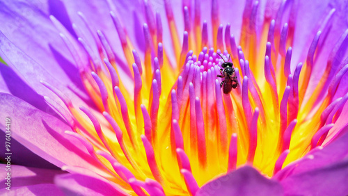 Macro Shot of Bee on Vibrant Lotus Stamen - Ideal for Nature-Themed Designs, Educational Materials, and Posters