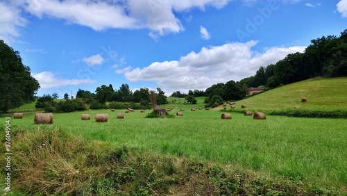 Fotografie Champs de foin