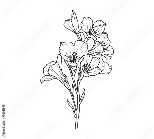 Freesia flower line art. Floral logo hand drawn sketch. Wild bouquet abstract elegant spring leaves. Black vintage botanical floral branch. Vector illustration in outline style