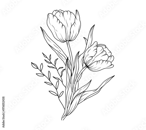 Line art tulip flower bouquet sketch. Floral outline hand drawn spring bouquet. Tulips black vintage linear bouquet vector illustration