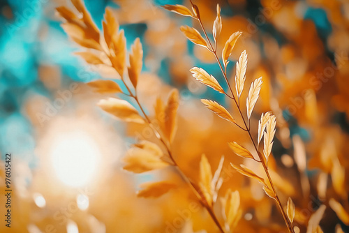 Wild Nature At Sunset