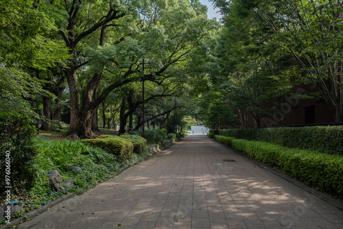 Obraz na płótnie Ueno Park, is one of Japan's five oldest public parks. It's best known for Ueno Zoo, many museums, and spectacular cherry blossoms in the spring in Tokyo, Japan w salonie