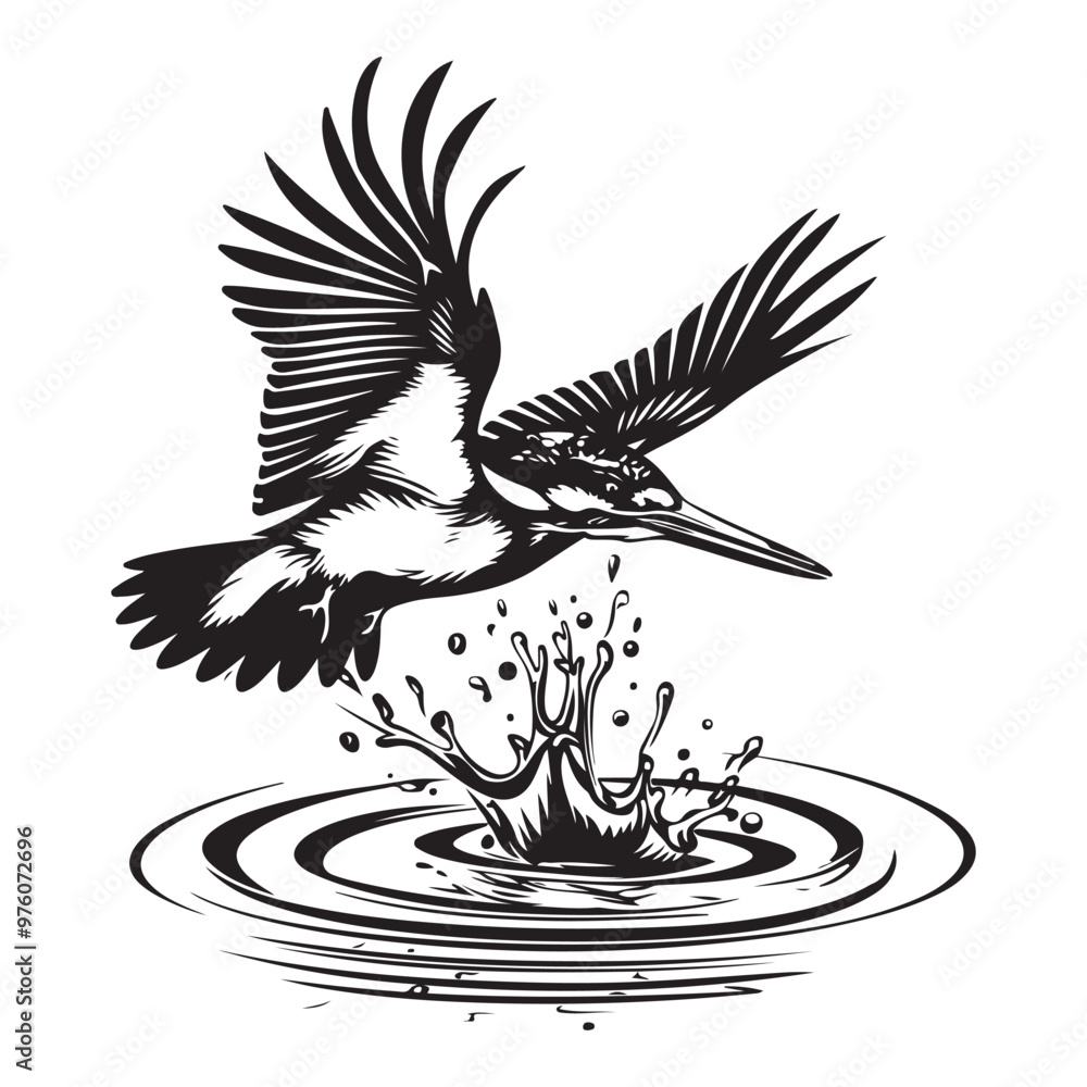 Fototapeta premium River Kingfisher Clipart Silhouette - Common Kingfisher Catching a fish Silhouette illustration in a White Background