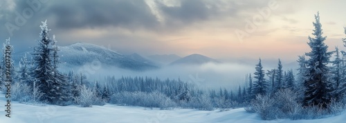 Winter outdoor tree snowy pines forest background photo