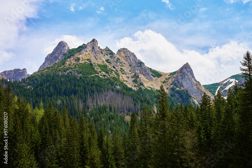 Mountain landscape with green meadow, surrounded by pine forests and snow-capped peaks under clear sky. Tatra mountains in Zakopane, Poland. Giewont summit