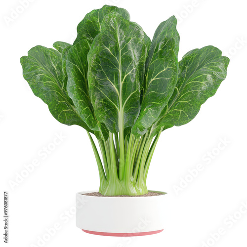 Fresh, vibrant leafy greens in a modern white pot, perfect for healthy living and culinary inspiration.