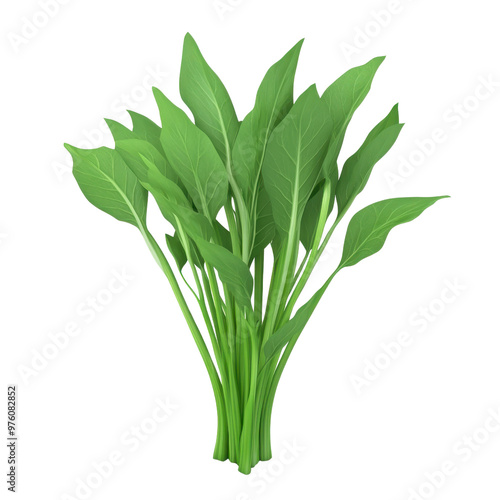 Wallpaper Mural Fresh green plant leaves arranged in a neat bunch, ideal for culinary or decorative purposes., isolated on a transparent background. Torontodigital.ca