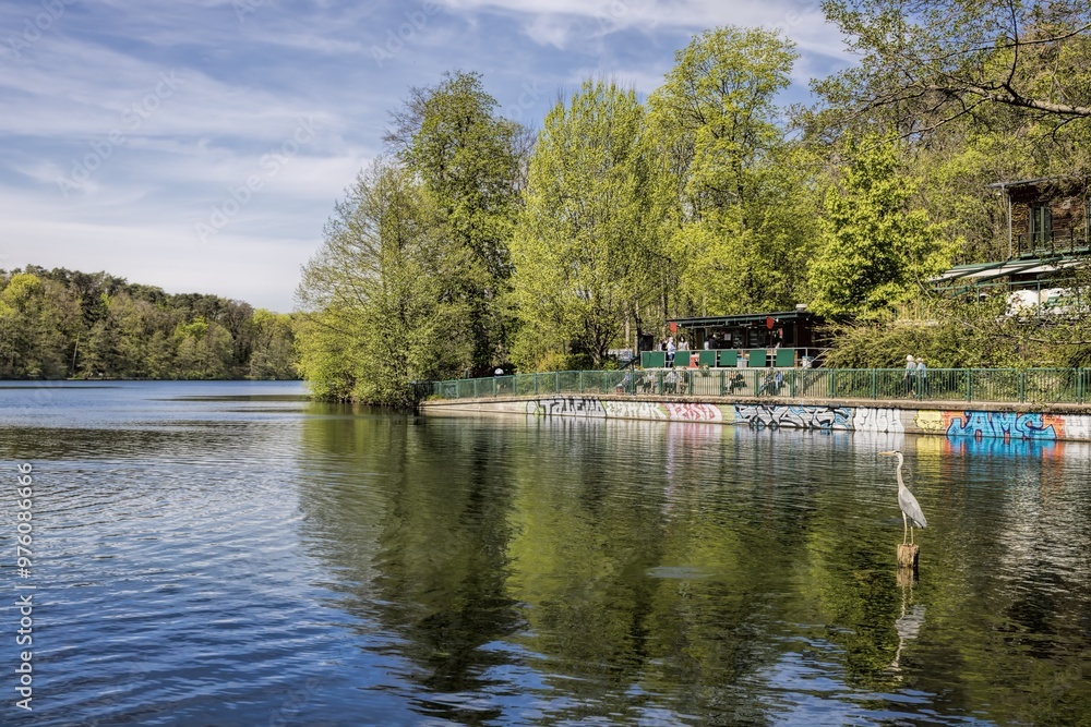 berlin, deutschland - idylle mit reiher am schlachtensee