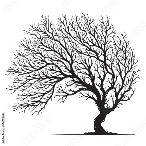 Silhouette of a tree with intricate branches vector on a white background