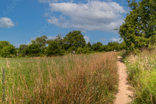 Path along a green field