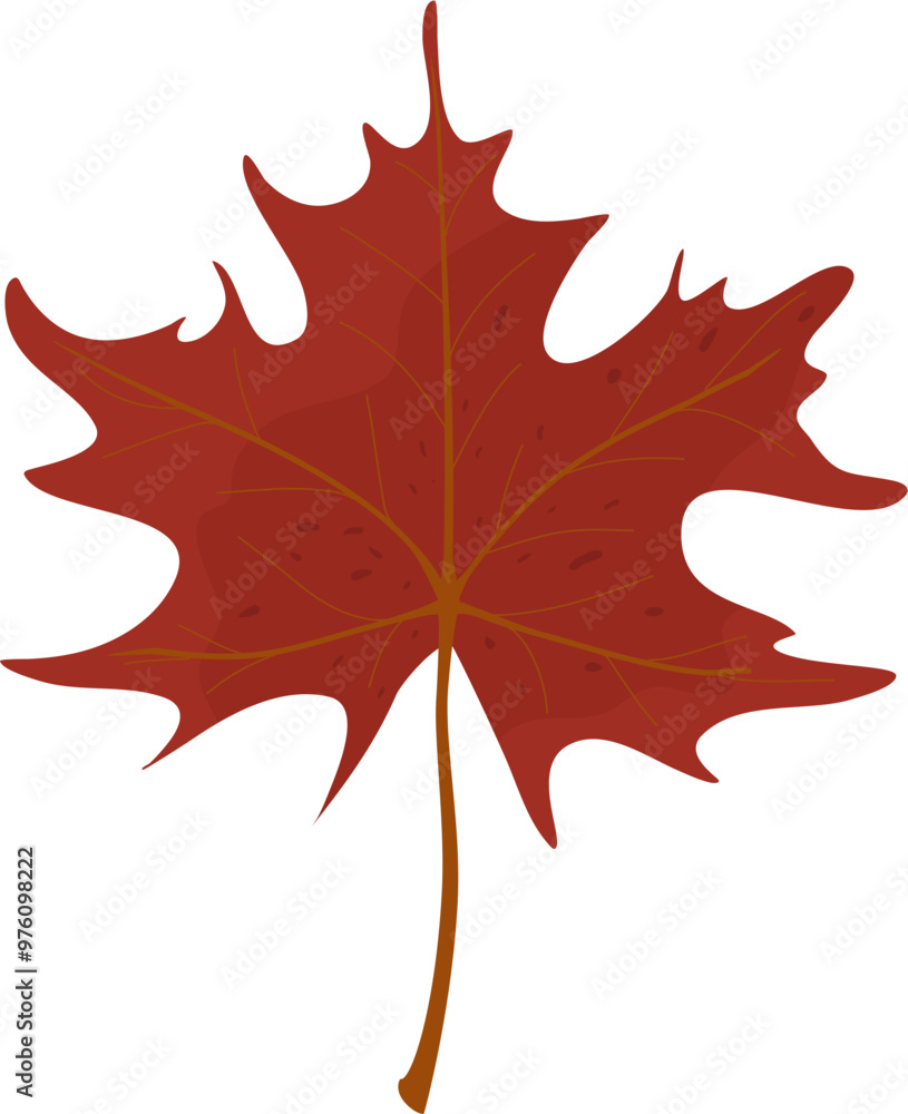 Autumn leaves vector Autumn leaves vector