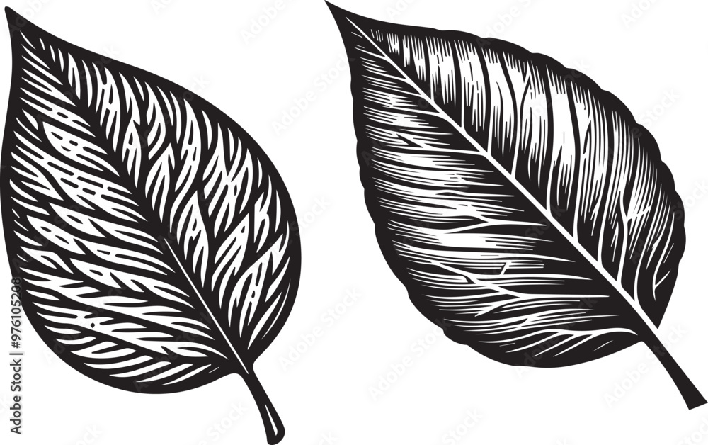 Obraz premium leaf silhouette vector art.