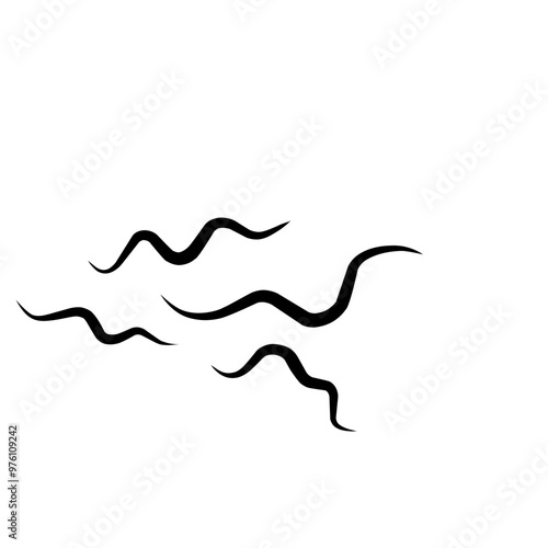 Traponema Palladium Bacteria Microorganism