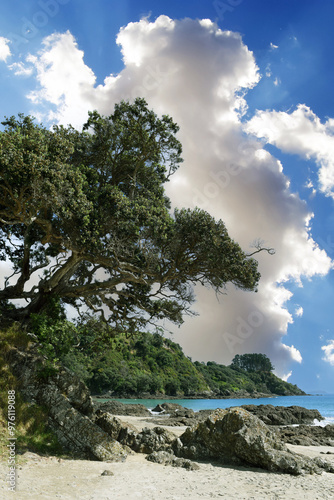 panoramic landscape view to Palm Beach on Waiheke Island, Auckland, North Island, New Zealand