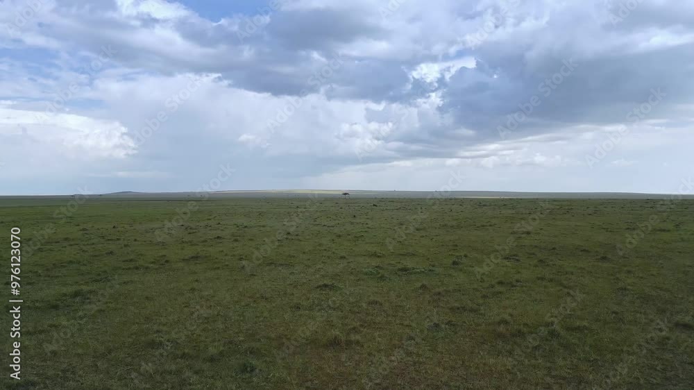 Aerial view of landscape of African savanna, Maasai Mara National Reserve, Kenya Aerial view of landscape of African savanna, Maasai Mara National Reserve, Kenya