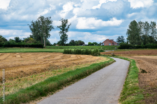 Bending countryroad through golden wheat fields in Wommersom, Brabant, Belgium photo