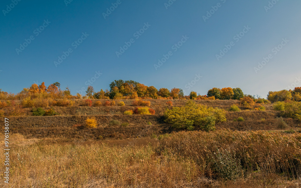Beautiful valley in the rays of the rising sun. Trees in autumn Beautiful valley in the rays of the rising sun. Trees in autumn