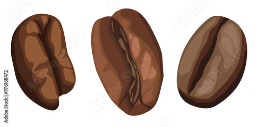 Simple illustration of coffee beans. Vector illustration. Coffee beans on isolated white background
