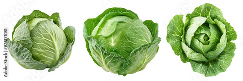 Set of a, A vibrant, fresh Cabbage, isolated on a transparent background.