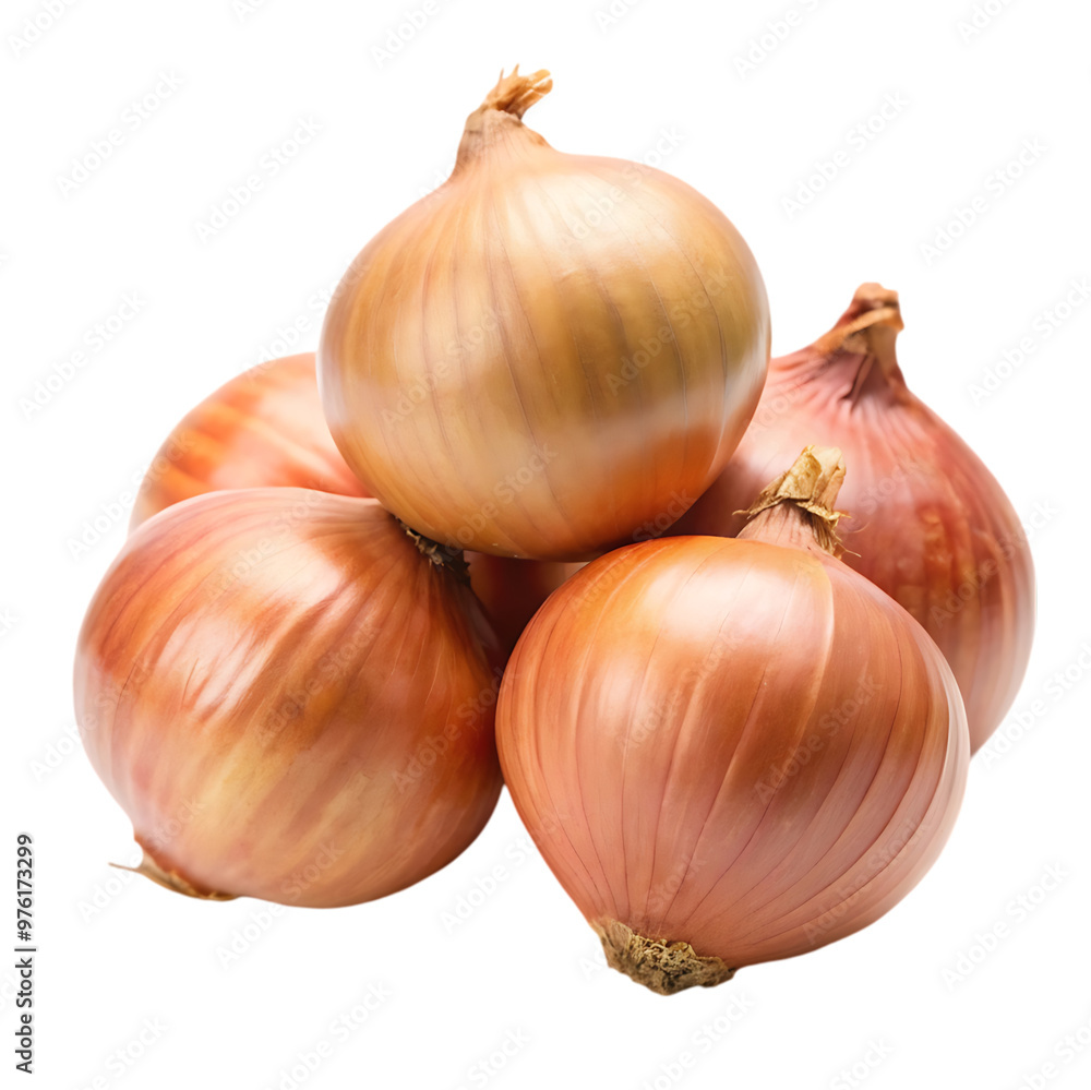 Fototapeta premium onions and garlic