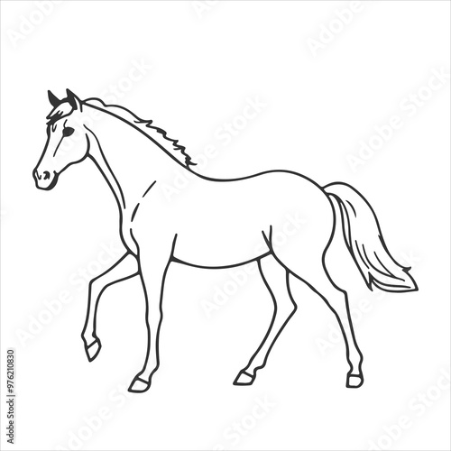 a beautiful horse  outline for coloring page 