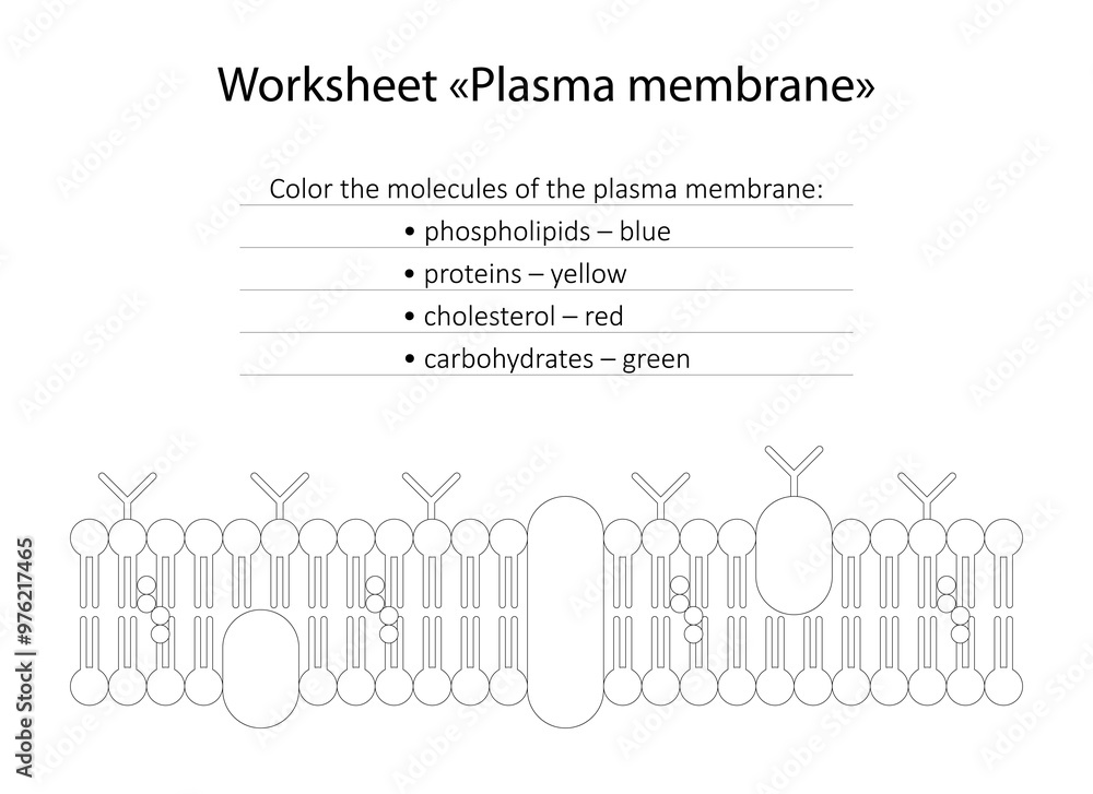 Obraz premium Worksheet 