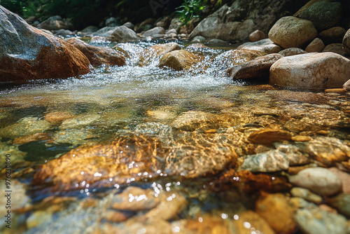 stream in the forest