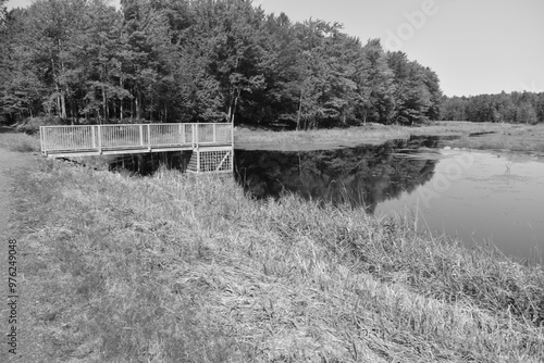 Forêt Drummond 15 Septembre 2024 - N&B photo