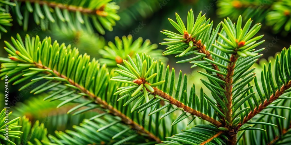 Close-up of Lush Green Pine Needles, Macro Photography, Nature Texture, Evergreen, Conifer, Pine Needles, Nature Close-up of Lush Green Pine Needles, Macro Photography, Nature Texture, Evergreen, Conifer, Pine Needles, Nature