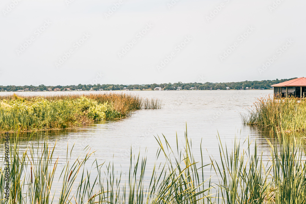 View of a lake in Florida.