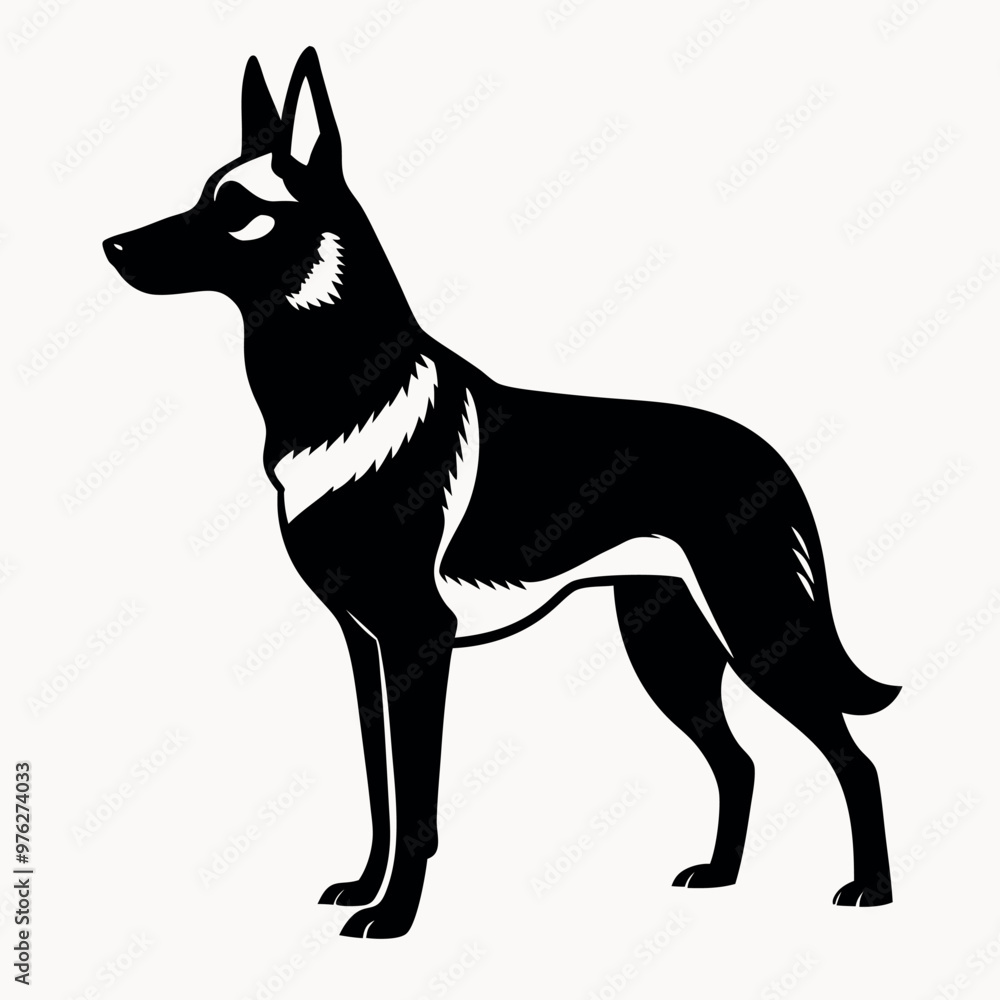 a German Shepherd dog. The dog is standing on all fours and is facing towards the left side of the image. It has a long, slender body with a pointed head and pointed ears a German Shepherd dog. The dog is standing on all fours and is facing towards the left side of the image. It has a long, slender body with a pointed head and pointed ears