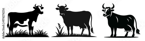 Set of cows. Black silhouette cow isolated on white background. Hand drawn vector illustration.