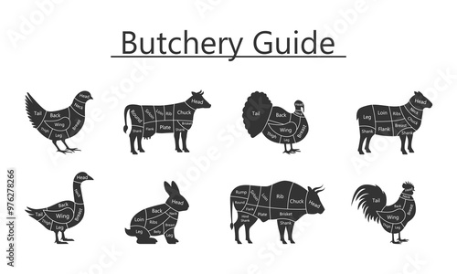 Butchery guide Bull, Goose, Quail, Duck, Lamb, Turkey, Rabbit, Cock meat cuts. Vector Illustration.