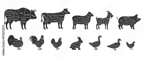 Animal meat cutting diagrams. Bull, chicken, goose, cow, duck, ram, turkey, quail, rooster, hen, goat, rabbit, goat, pig. Vector illustration.