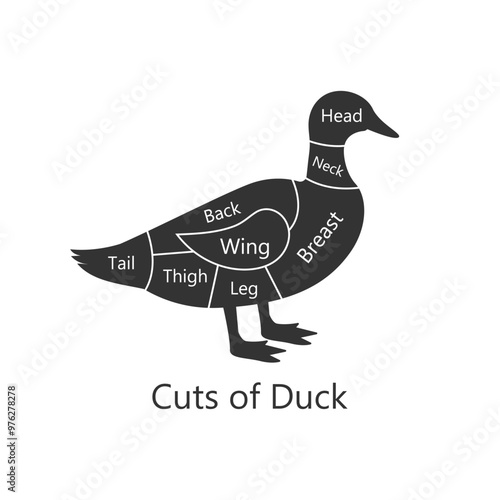 Duck butchery diagram. Cuts of Duck. Perfect for restaurant menus and educational materials. Vector Illustration.