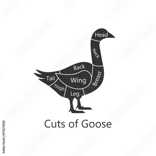 Goose butchery diagram. Cuts of Goose. Perfect for restaurant menus and educational materials. Vector Illustration.