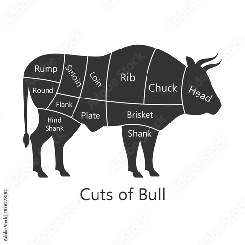 Bull butchery diagram. Cuts of bull. Perfect for restaurant menus and educational materials. Vector Illustration.