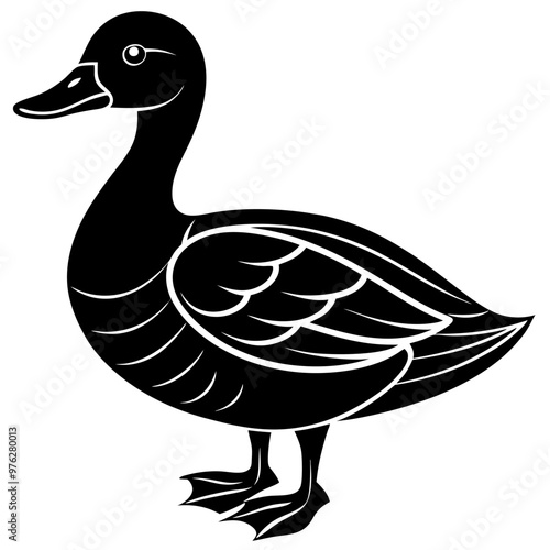 duck isolated on white