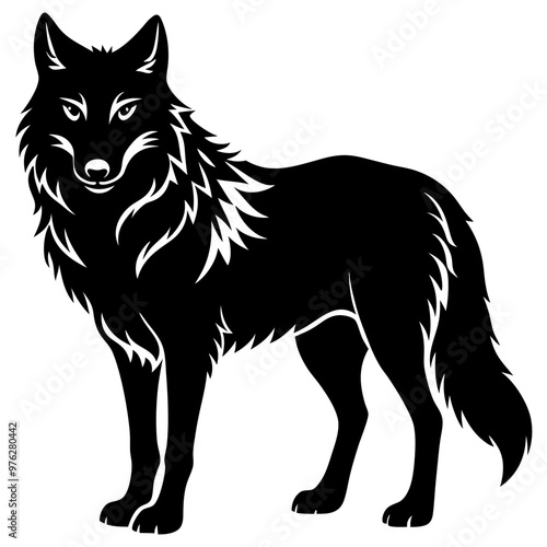 wolf vector illustration