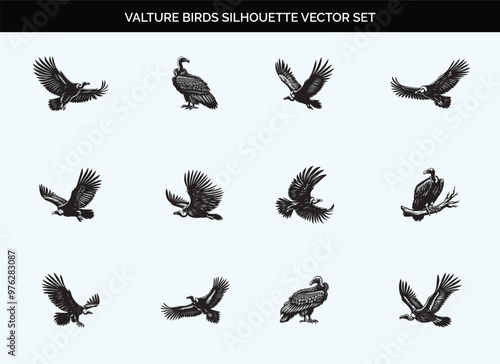 Black Vulture Bird Silhouette Vector Illustration on Transparent Background photo