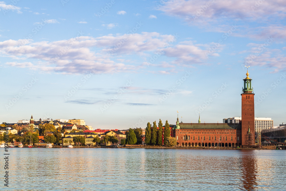 Fototapeta premium write 50 keywords with commas for the photo