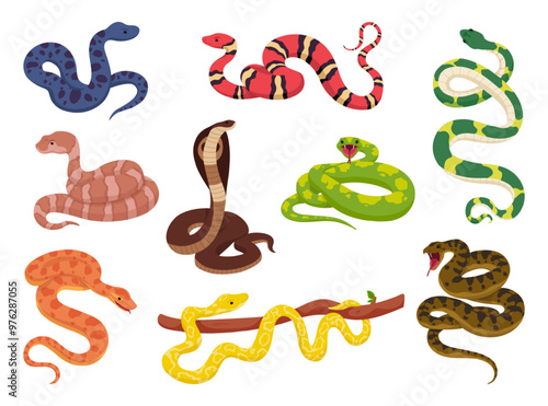 Tropical serpents. Cartoon snakes, exotic reptile anaconda cobra python venomous snake copperhead kingsnake poisonous viper jungle animals, wildlife ingenious vector illustration