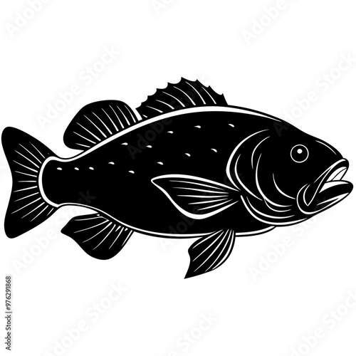 illustration of a fish