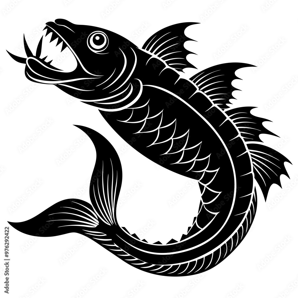 black and white fish black and white fish