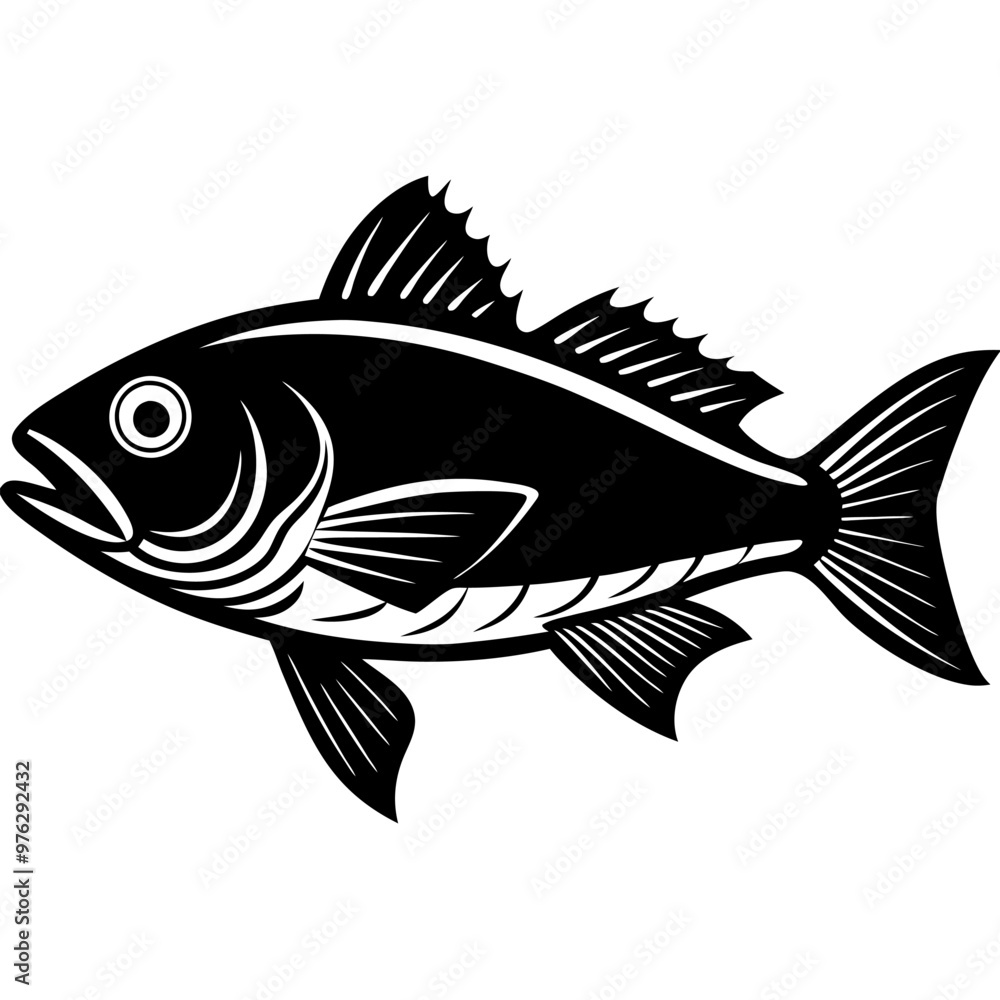 illustration of a fish illustration of a fish
