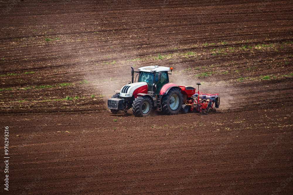 Fototapeta premium Farmer with tractor seeding crops at field