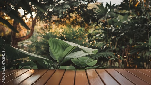 Wooden Tabletop with Tropical Leaves and Bokeh Background photo