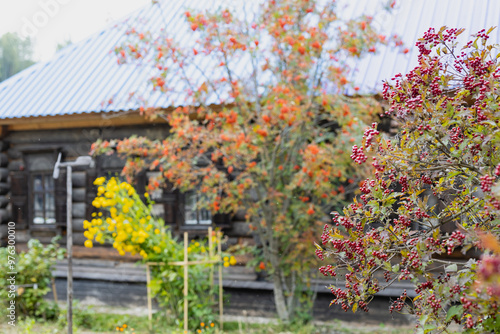 Russian national wooden hut