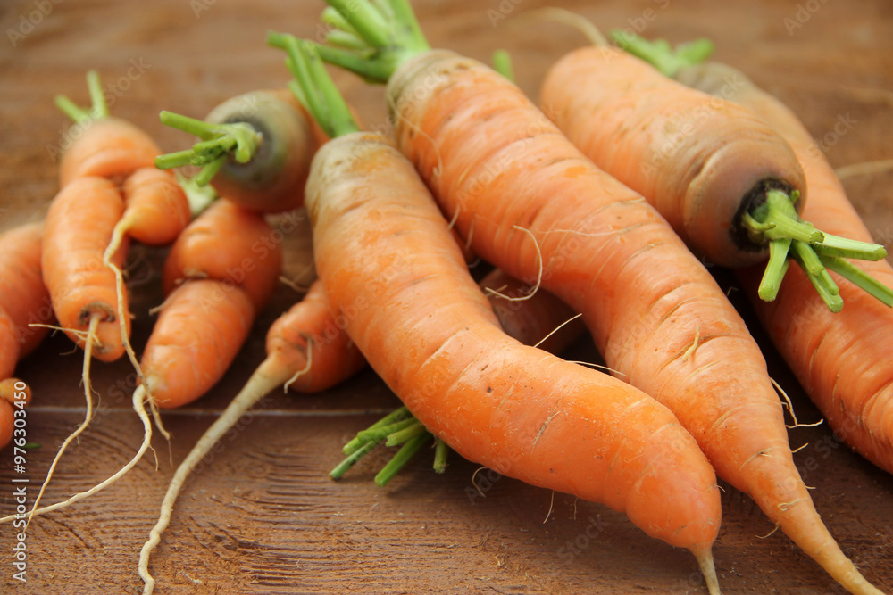 Fresh carrots on a wooden background. Autumn harvest. Fresh carrots on a wooden background. Autumn harvest.