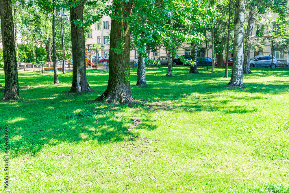 A park with a lot of trees and grass